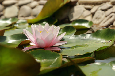 Similar image 11318659