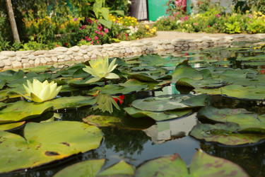 Similar image 11318701