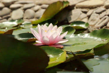 Similar image 11318934