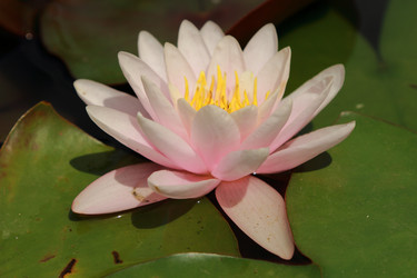 Similar image 11318939