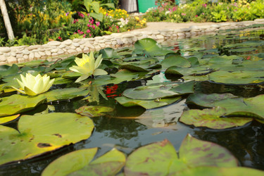 Similar image 11318942