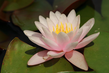 Similar image 11318944