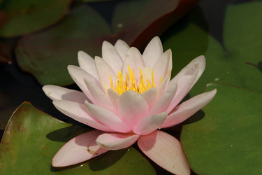 Similar image 11328150