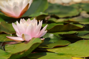 Similar image 11328412