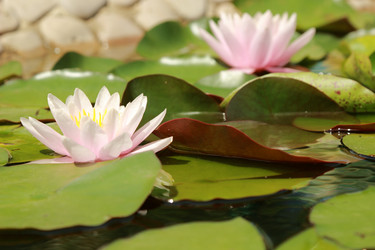 Similar image 11328414