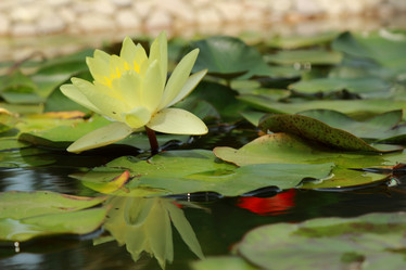 Similar image 11328415