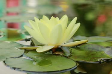 Similar image 11328419