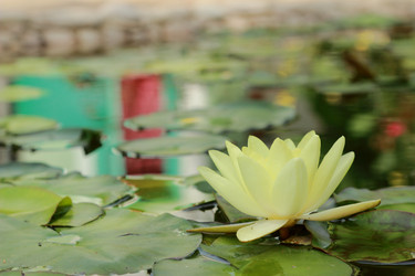 Similar image 11328454