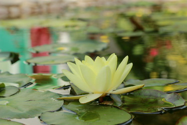 Similar image 11328459