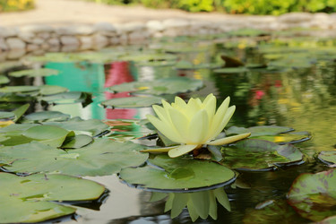 Similar image 11328463