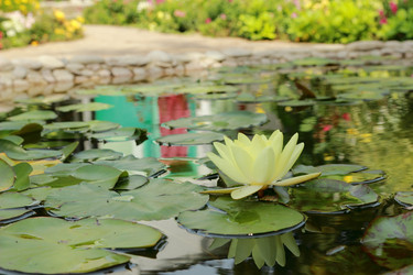 Similar image 11328654