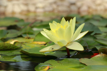 Similar image 11328659