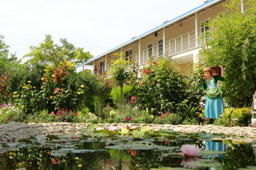 Similar image 11328661