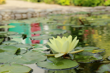 Similar image 11328663