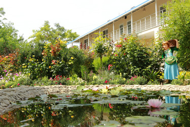 Similar image 11328666