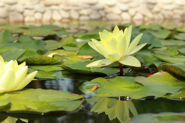 Similar image 11328693