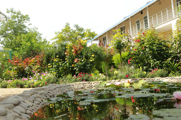 Similar image 11328696