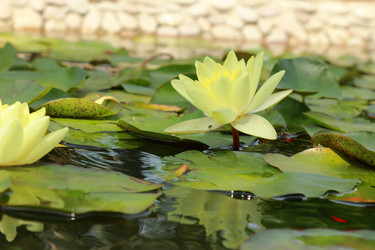 Similar image 11328698