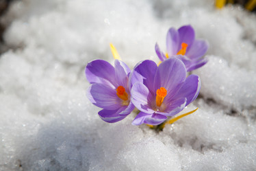 Similar image 11172733