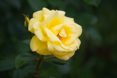 Similar image 11172743