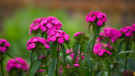 Similar image 11172745