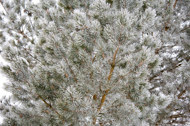 Similar image 11172750