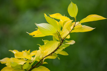 Similar image 11172752