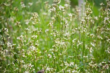 Similar image 11172756