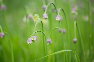 Similar image 11174635