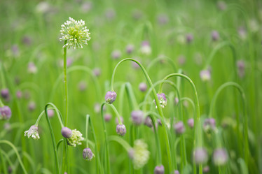 Similar image 11174637