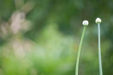 Similar image 11174639