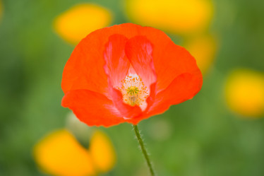 Similar image 11174641