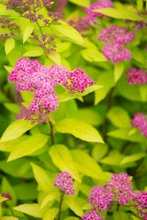 Similar image 11174643