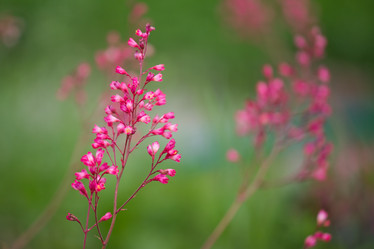 Similar image 11174711