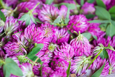 Similar image 11174713