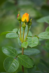 Similar image 11174717