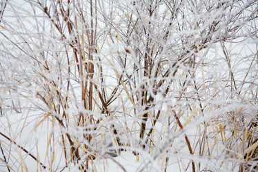 Similar image 11174721