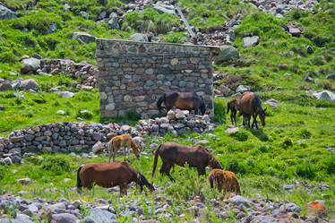 Similar image 11171372