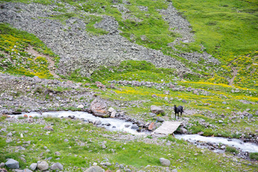 Similar image 11171382