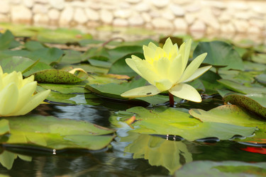 Similar image 11287137