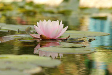 Similar image 11287138