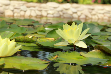 Similar image 11287235