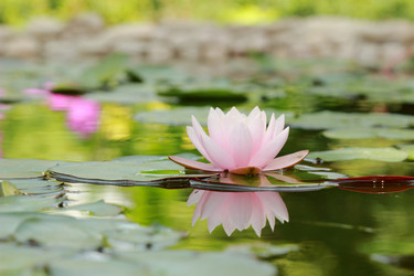 Similar image 11287237