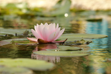 Similar image 11287238