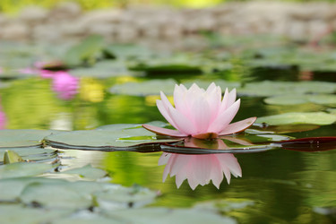 Similar image 11287239