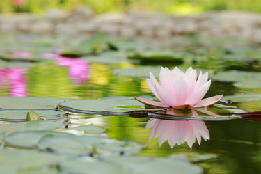 Similar image 11287240