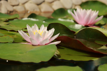 Similar image 11287252