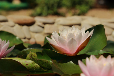 Similar image 11287253