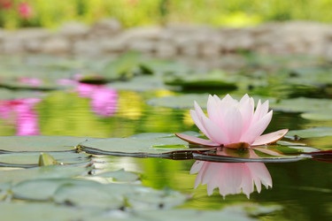 Similar image 11287255