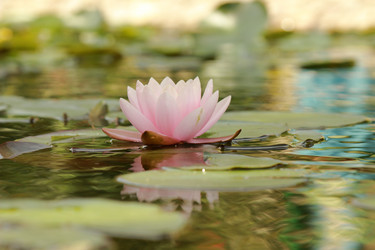 Similar image 11287256